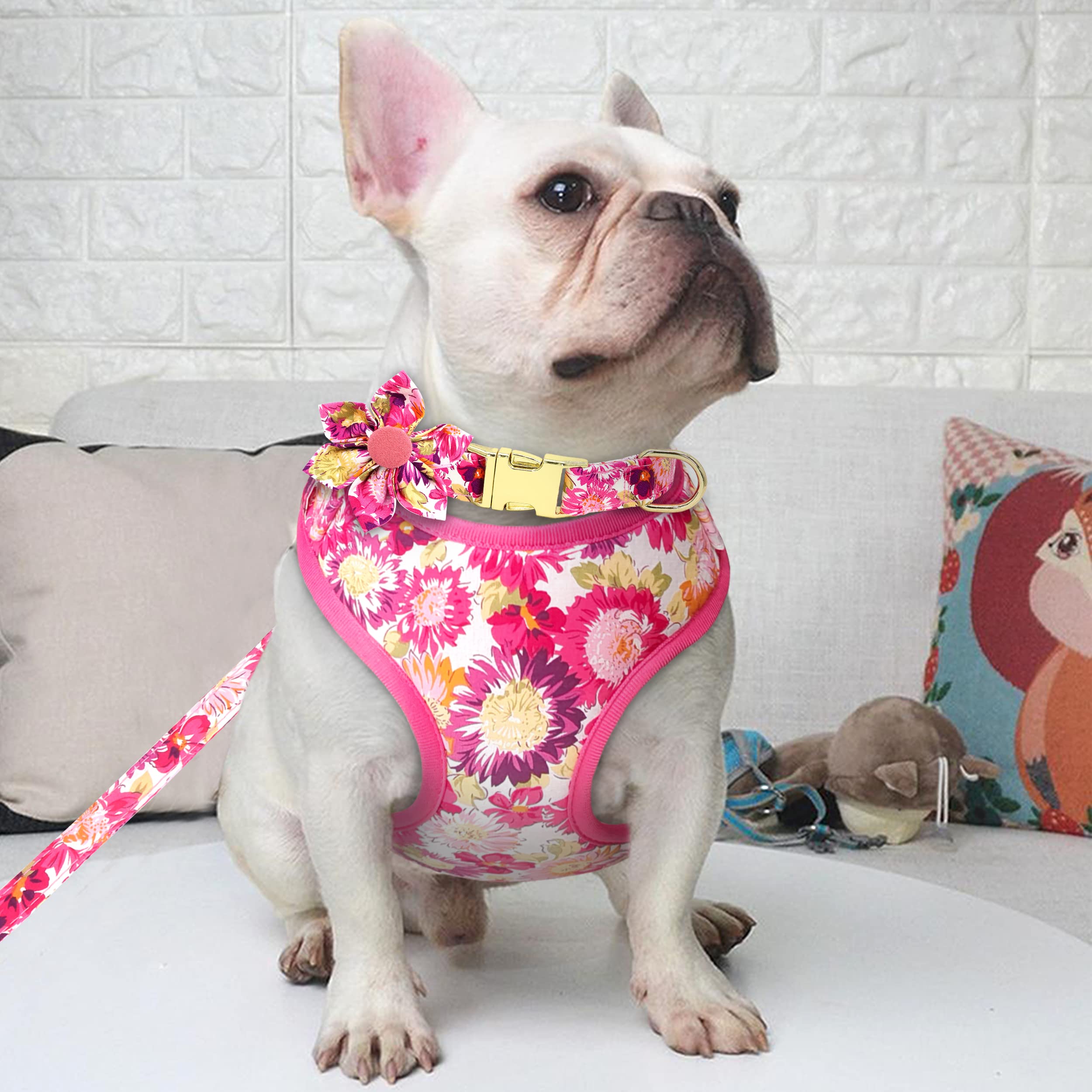 Beirui Cute Girl Dog Collars, Harnesses & Leashes Set - Adjustable Dog Collar And Leash Set With Flower - Soft Mesh Dog Vest Har